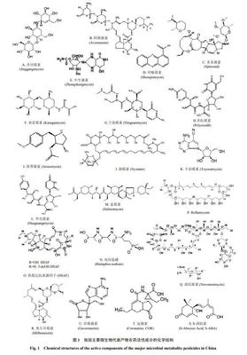 我国生防微生物代谢产物应用与展望 未来绿色农药研发的引擎