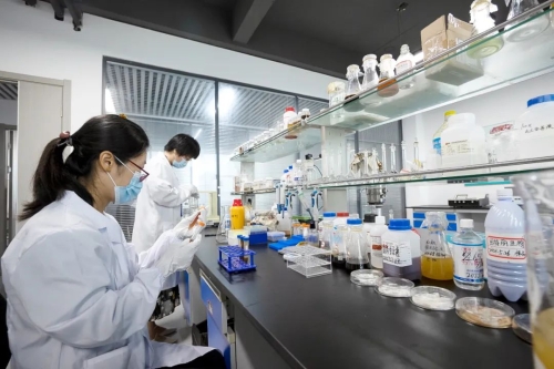 【媒体记者见面会】烟台固特丽生物科技股份:生物技术赋能高品质农业发展