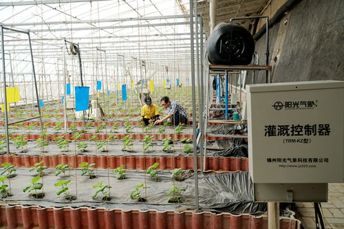 十三五自治区重点研发项目顺利通过验收 生物农药技术助力设施蔬菜健康生产